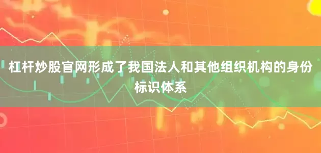 杠杆炒股官网形成了我国法人和其他组织机构的身份标识体系