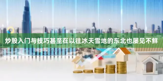 炒股入门与技巧甚至在以往冰天雪地的东北也屡见不鲜