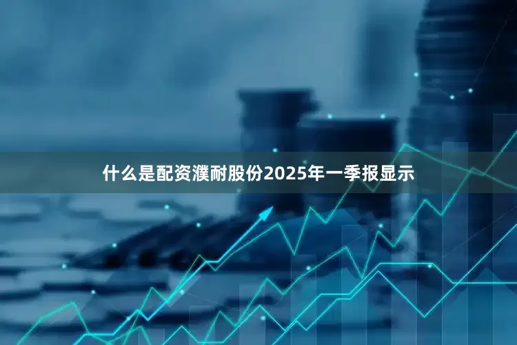什么是配资濮耐股份2025年一季报显示