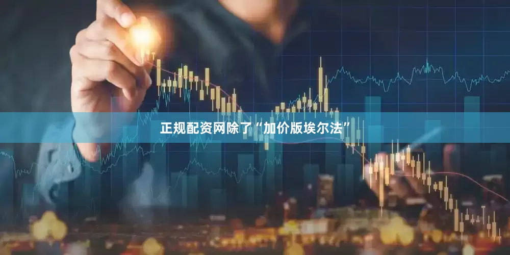 正规配资网除了“加价版埃尔法”