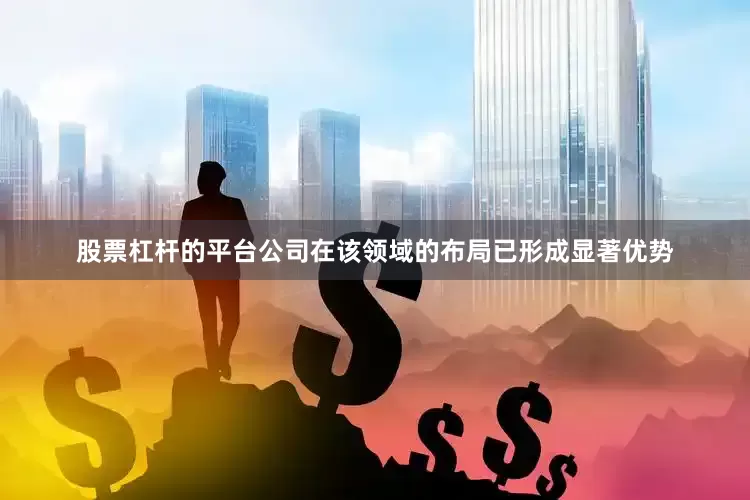 股票杠杆的平台公司在该领域的布局已形成显著优势