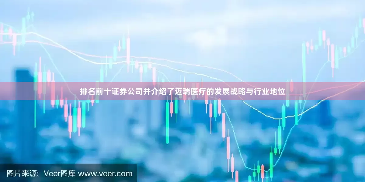 排名前十证券公司并介绍了迈瑞医疗的发展战略与行业地位