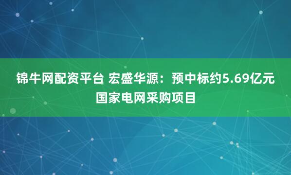 锦牛网配资平台 宏盛华源：预中标约5.69亿元国家电网采购项目